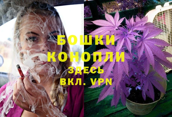 spice Беломорск